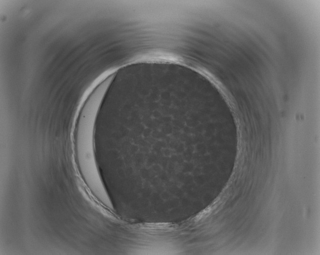 X0000085040864200703121432