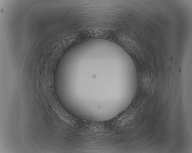 X0000085040865200703121431