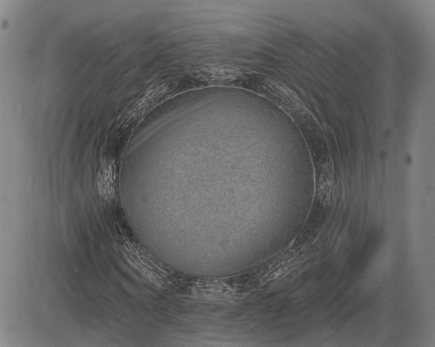 X0000085040866200703121431