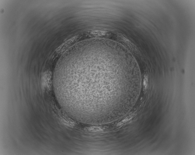 X0000085040867200703121431