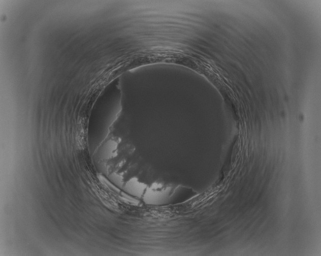 X0000085040868200703121431