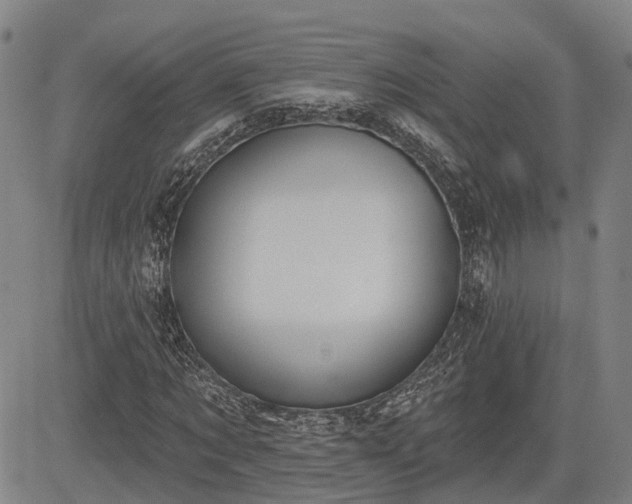 X0000085040869200703121431