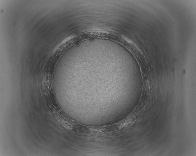 X0000085040870200703121431