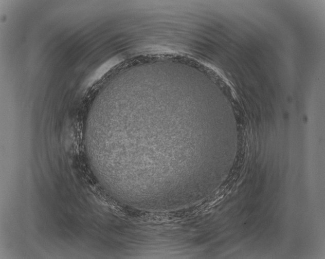 X0000085040871200703121431