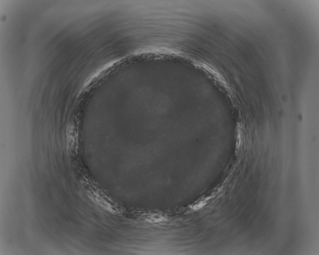 X0000085040872200703121431