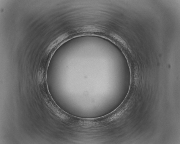 X0000085040873200703121431