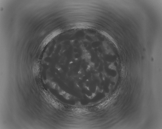 X0000085040874200703121431