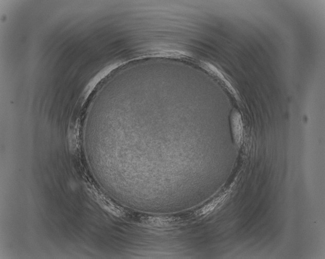 X0000085040875200703121431