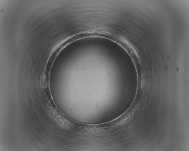 X0000085040876200703121431