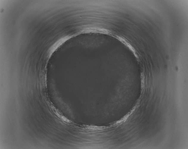 X0000085040877200703121431