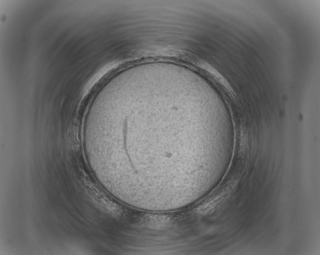 X0000085040878200703121431