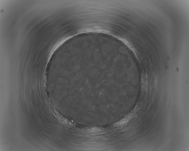 X0000085040879200703121431