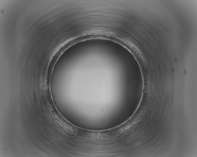 X0000085040880200703121431