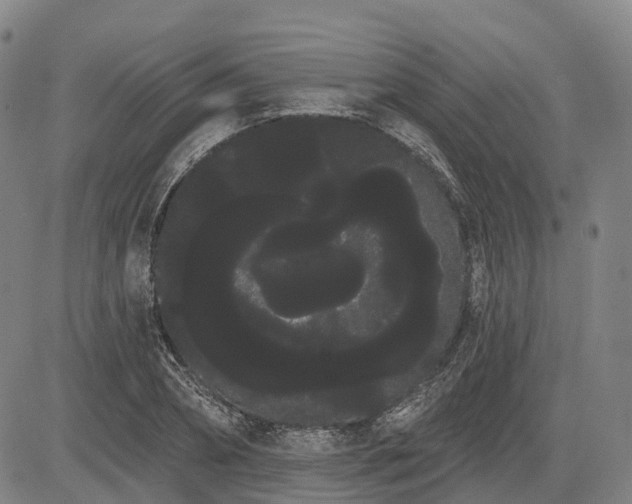 X0000085040882200703121431