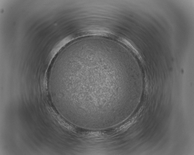 X0000085040883200703121431