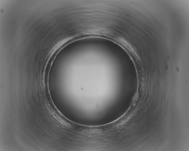 X0000085040884200703121431