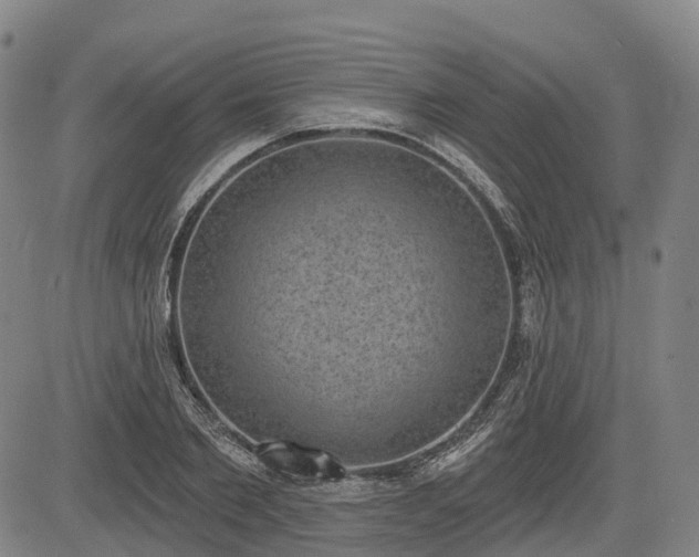 X0000085040885200703121431