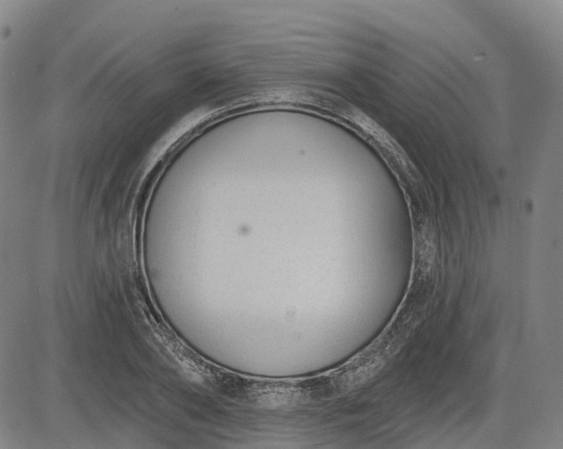 X0000085040886200703121431