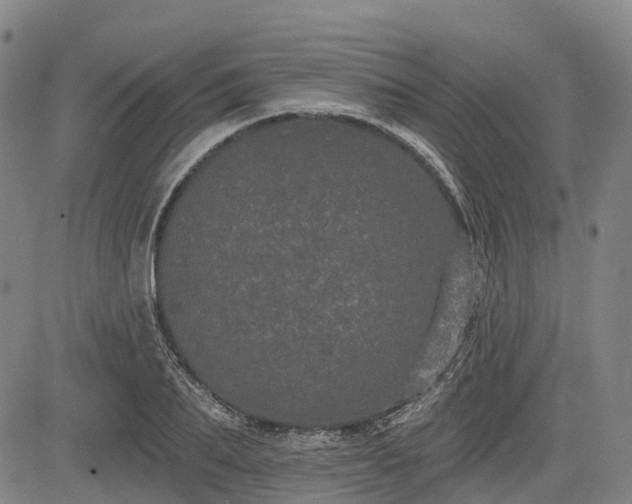 X0000085040887200703121431