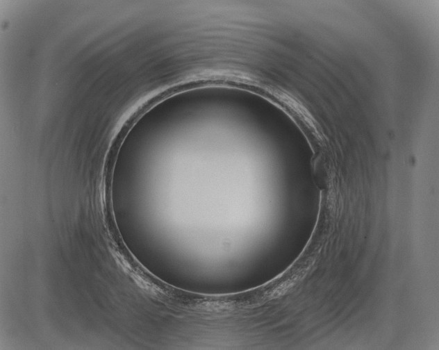 X0000085040888200703121430