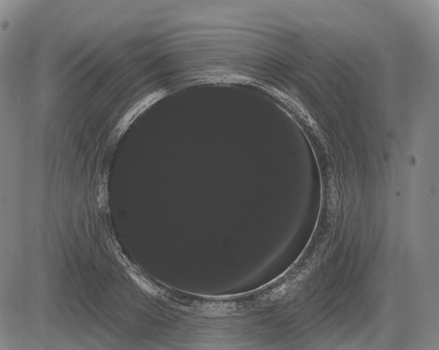 X0000085040889200703121430