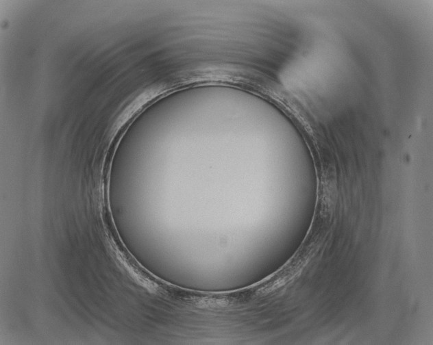 X0000085040890200703121430