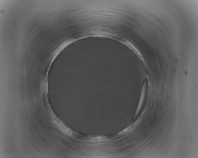 X0000085040891200703121430