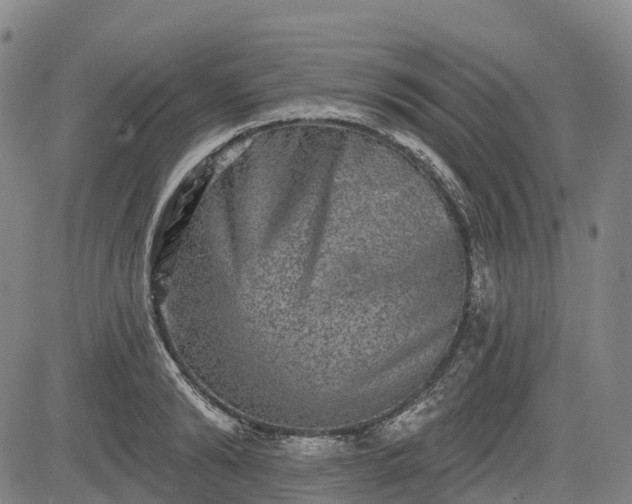 X0000085040894200703121430