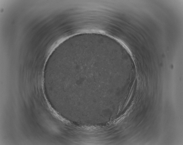 X0000085040895200703121430