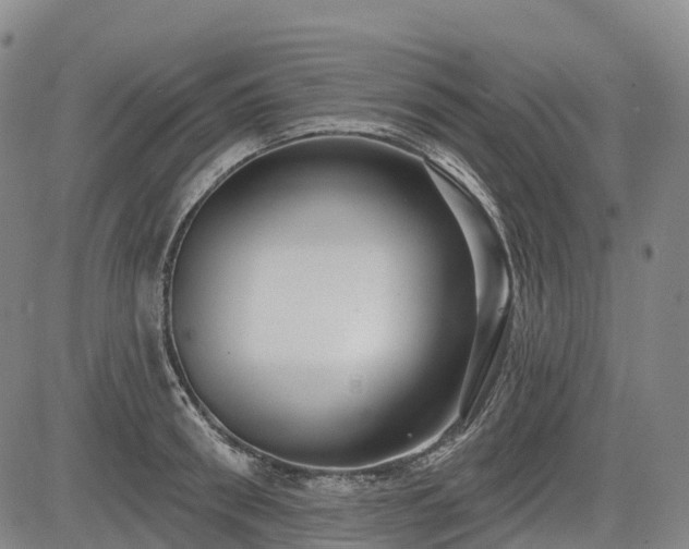 X0000085040898200703121430