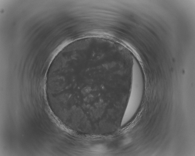 X0000085040899200703121430