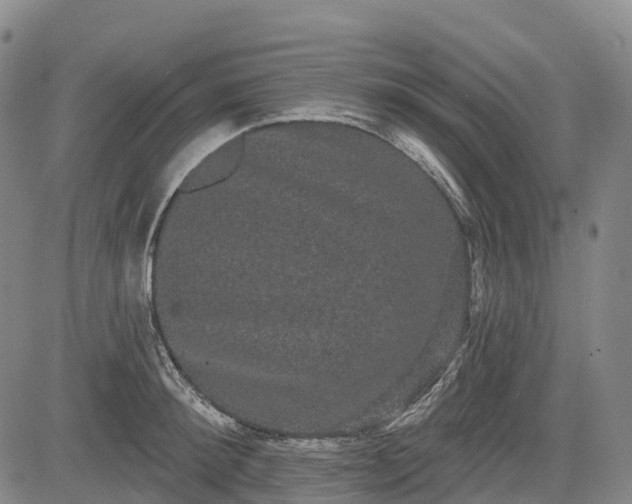 X0000085040900200703121430