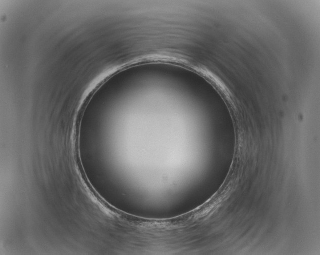 X0000085040902200703121430