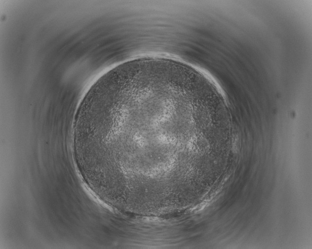 X0000085040903200703121430