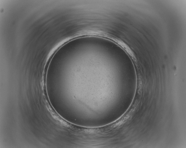 X0000085040904200703121430