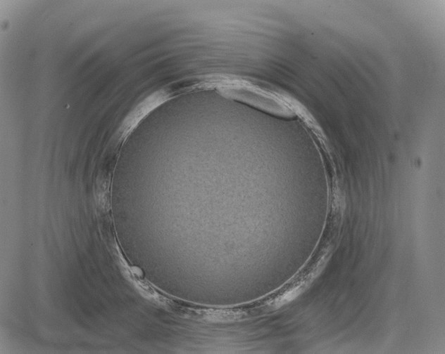 X0000085040905200703121430