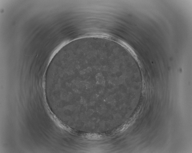 X0000085040907200703121430