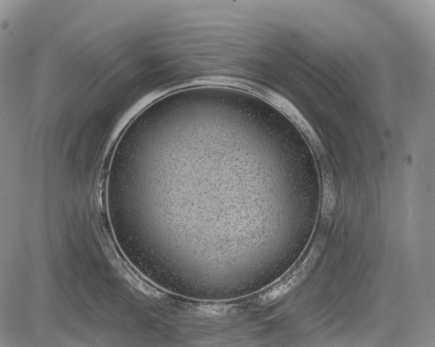 X0000085040908200703121430