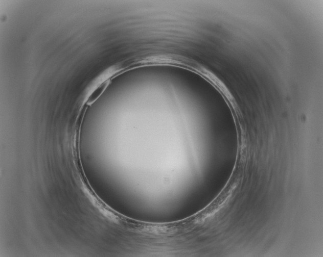 X0000085040909200703121430