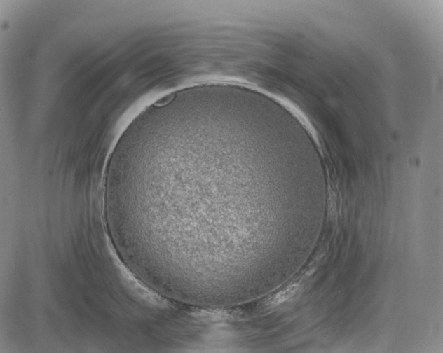 X0000085040911200703121430