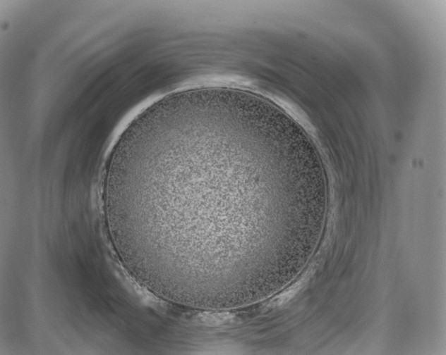 X0000085040912200703121430