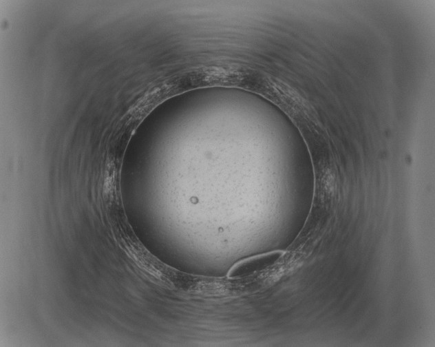 X0000085040914200703121429