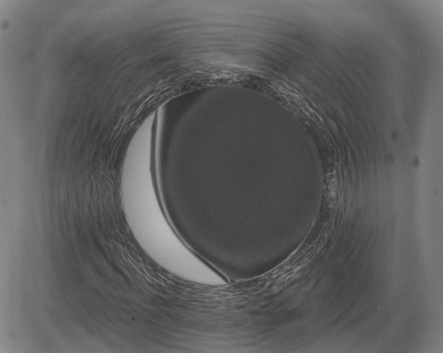 X0000085040916200703121429