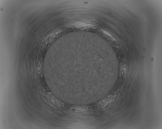 X0000085040917200703121429