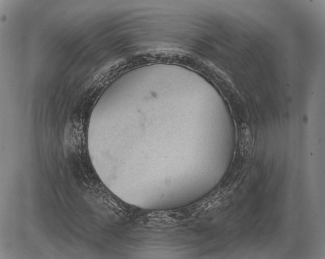 X0000085040918200703121429