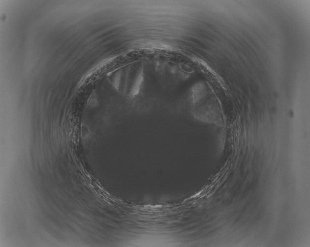 X0000085040919200703121429