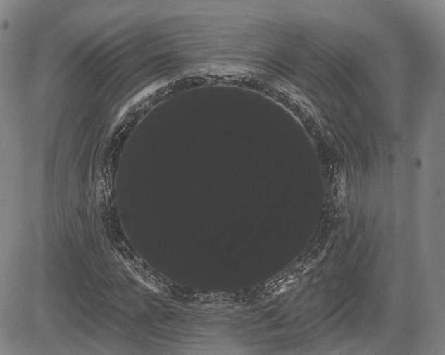 X0000085040920200703121429