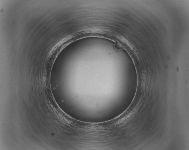 X0000085040922200703121429