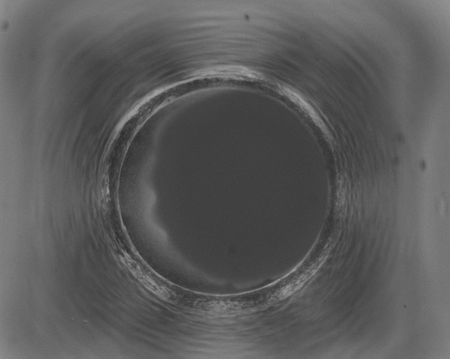 X0000085040923200703121429