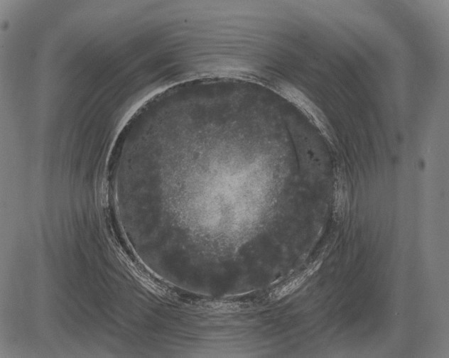 X0000085040924200703121429